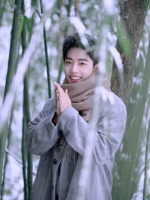 肖战##肖战冬至竹林大片