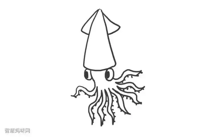 海洋生物乌贼简笔画怎么画