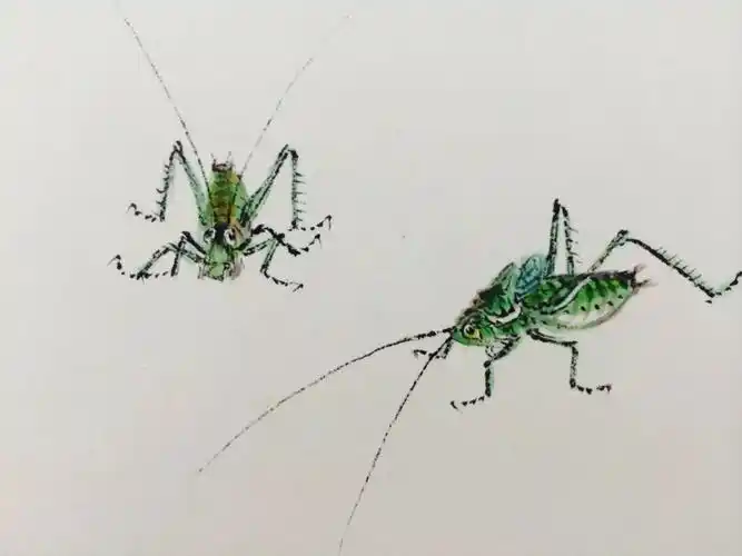 中国草虫画第一人---许鸿宾(副本)