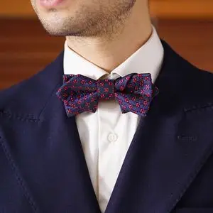 波点领结男图片