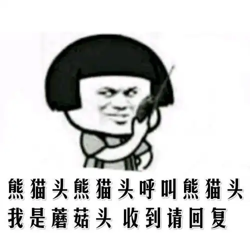 收到回复gif恶搞gif逗比gif发微信gif