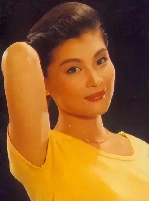 歌唱家范琳琳:用两枚军功章陪伴去世父母,成名背后有艰辛和泪水