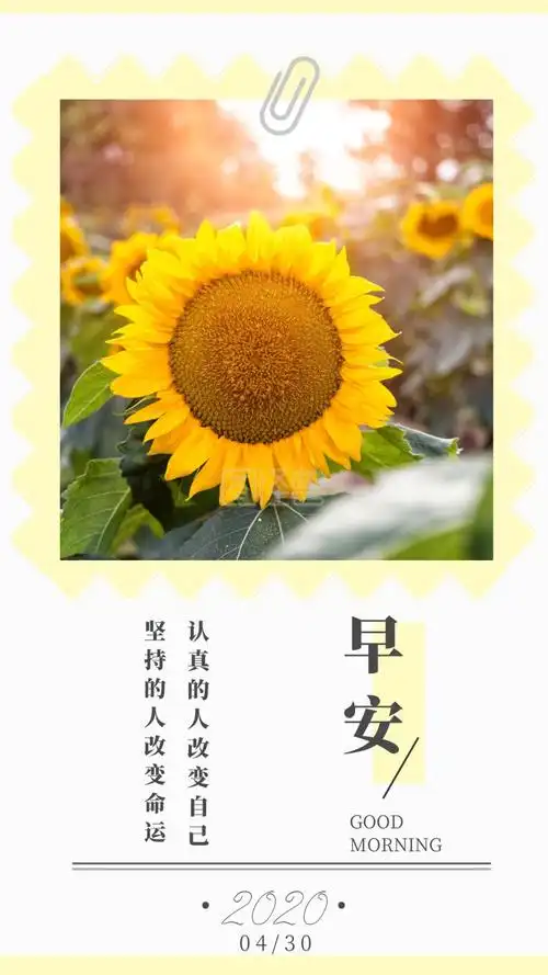 向日葵日历早安周日快乐.生活在线编辑日签