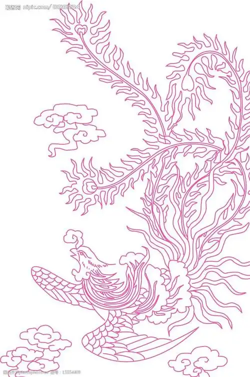 凤的矢量图图片