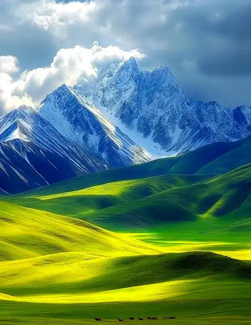 🌄可可西里:青藏高原的奇迹