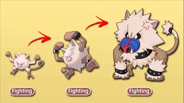 宝可梦新mega进化,火暴猴长出蓝鼻子,猫鼬斩增加格斗属性