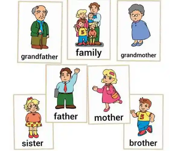 家人的英文单词爸爸妈妈其他亲人英语单词怎么读又怎么写用中文