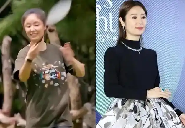 47岁林心如小腹隆起惹争议与谢娜相差5岁差距却很大被嘲像母女