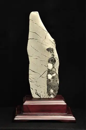 "艺静"奇石馆八周年庆