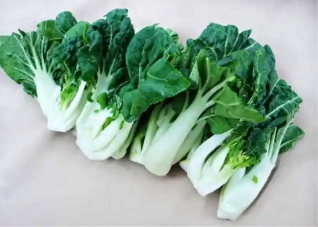 小 白 菜,上海青       预防胆固醇         小白菜,常见品种