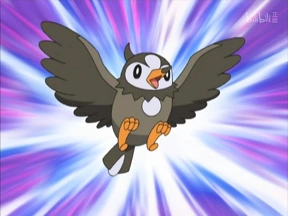 1.姆克儿(收服于ep02 寻找皮卡丘!202号道路)