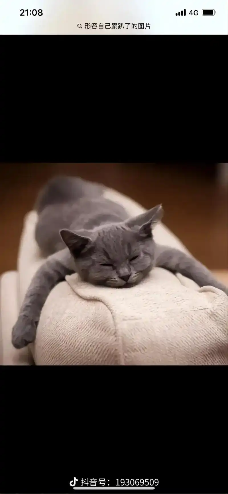 怀疑人生 抖音号:193069509 q形容自己累趴了的图片 - 抖音