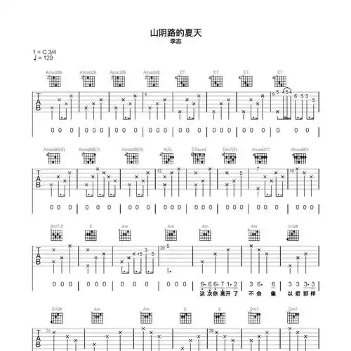 山阴路的夏天吉他谱c调_简单乐谱编配_李志