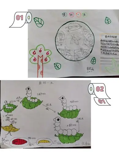 蚕宝宝成长记——市中区舜苑学校小学部"行走济南"主题课程学生成果展