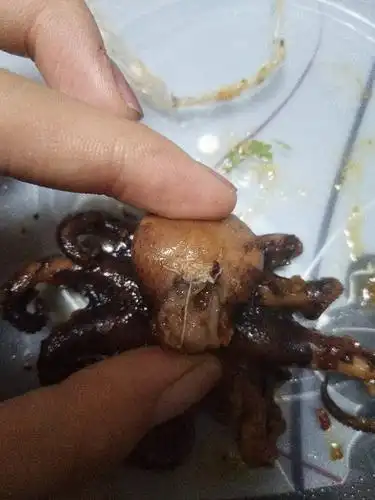 迷你八爪鱼里这个是什么