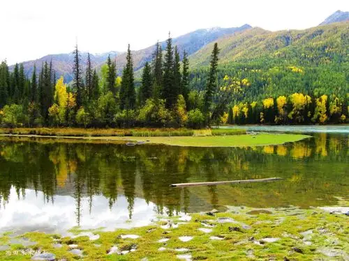 新疆.梦幻喀纳斯