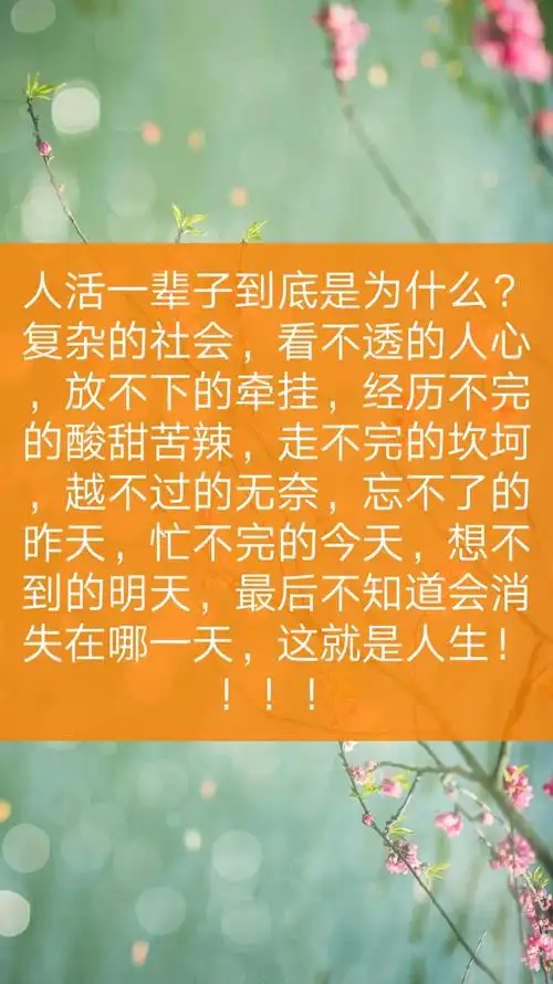 看不透的心,猜不透的人的主页-快手直播