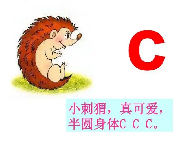 声母"c"