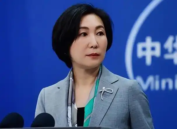 "最美外交官"毛宁:妆发精致干练,西装穿搭得体,气质优雅高级|穿搭