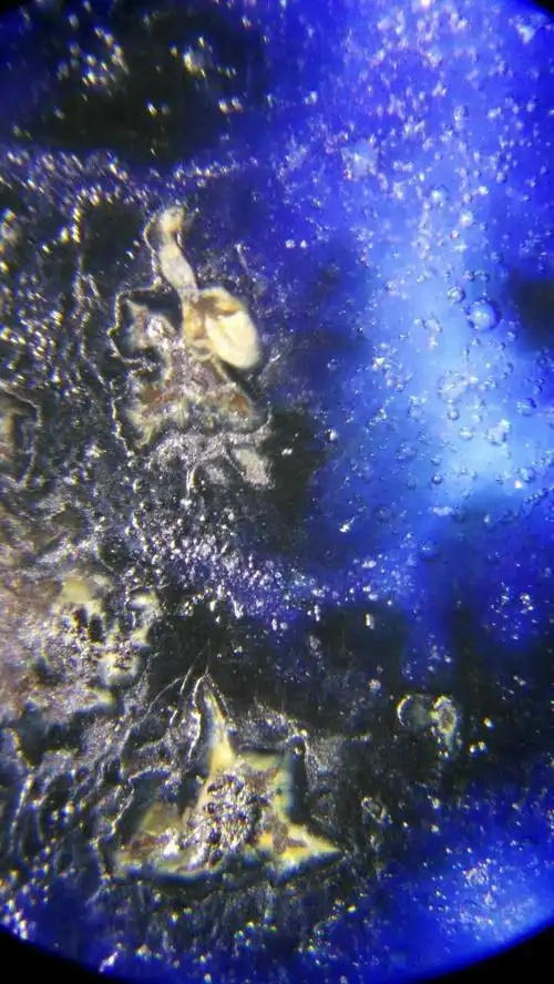 《古瓷气泡》超自然之美