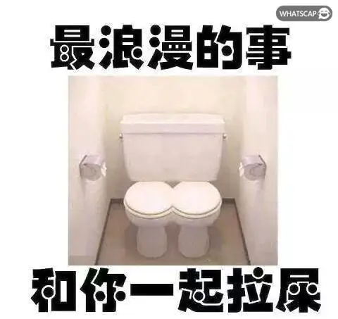 最浪漫的事和你一起拉屎