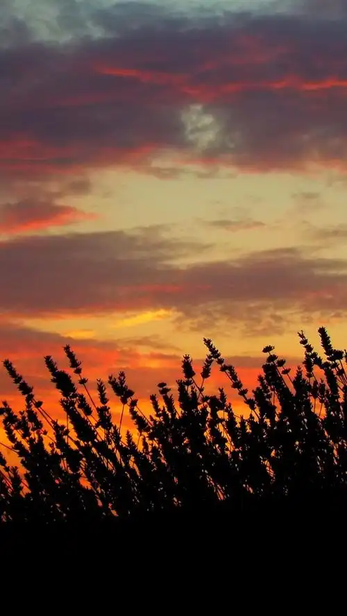 640_1136竖版 竖屏