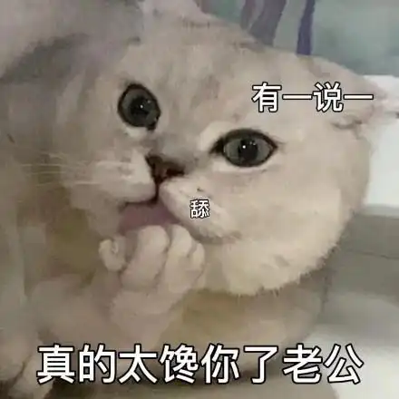 有一说一舔真的太馋你了老公 - 猫猫涩涩表情包