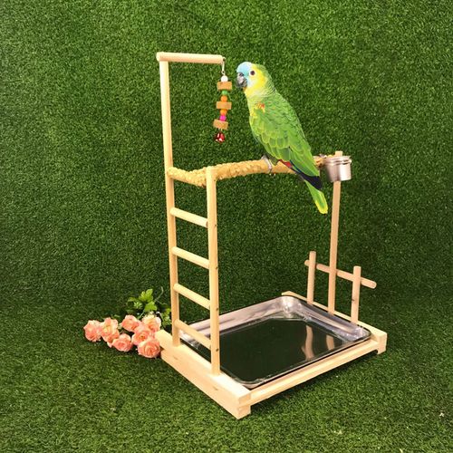 中大型鹦鹉实木鸟架鹦鹉站架荷木见血飞站棍站架