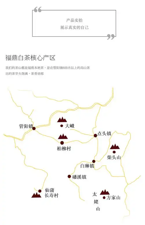 大庄茶行福鼎白茶2016年陈皮饼干茶泡袋礼盒装茶叶40片200g