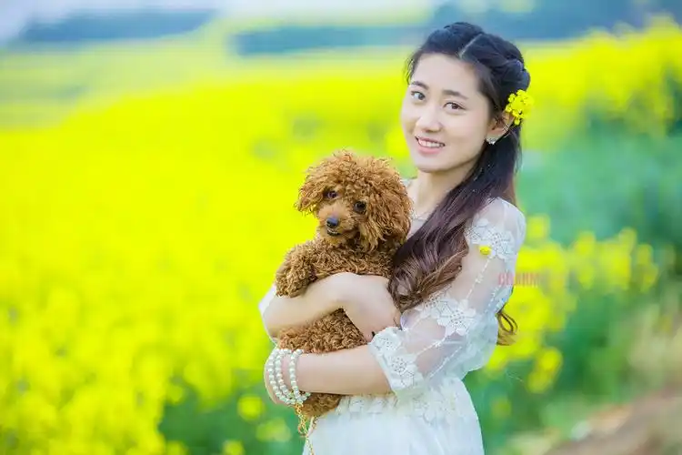 三月菜花香刘慧玲