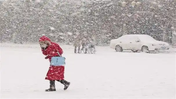 冬天天气为什么这么冷(为什么冬天那么冷?简单的答案)