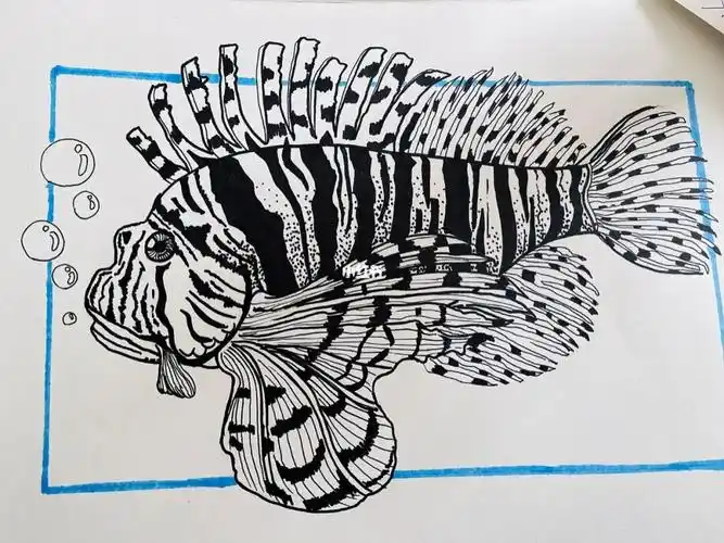 创意美术儿童画  #儿童创意美术  #海洋生物  #线描  #创意线描