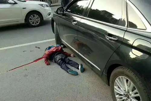 巴中老乡往这看