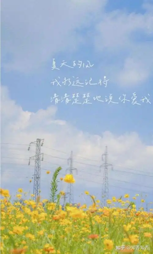 有没有治愈系的文案推荐?