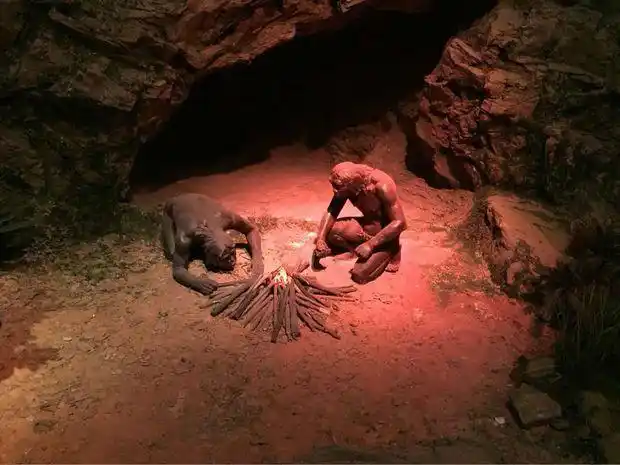 北京猿人是不是现代中国人的祖先 ?