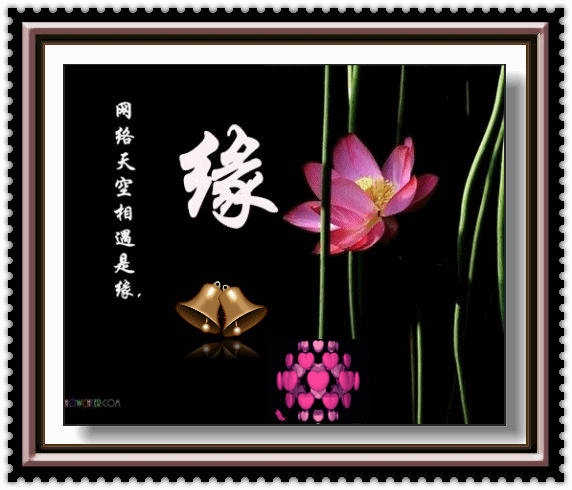 相识是缘,相逢是愿