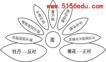 《爱莲说》板书设计(3篇)