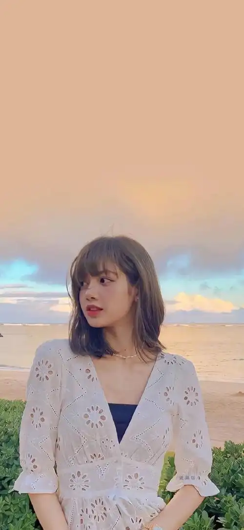 【lisa】壁纸