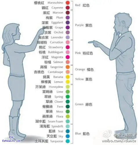 男生跟女生眼中的颜色差别.