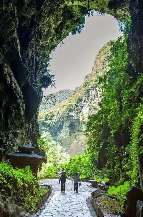 洞天福地内天坑是大型地下河上的洞穴厅堂崩塌形成的特大型塌陷漏斗