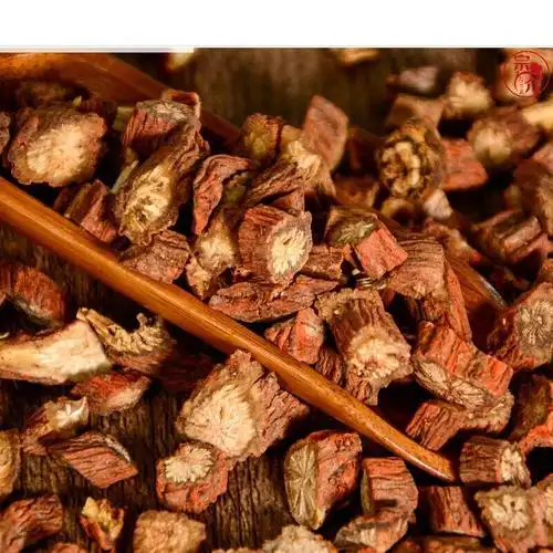 新鲜野生丹参新货现挖湿丹参中药材紫花赤参整条血参根茶 1斤鲜丹参