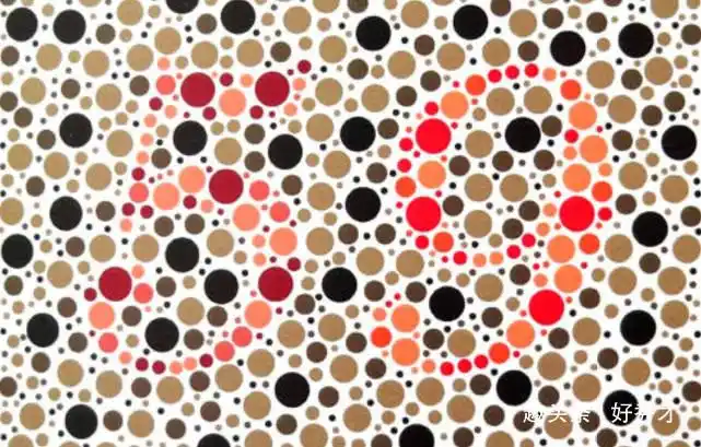 今天除夕送你几张色盲检测图祝你和你身边人幸福快乐