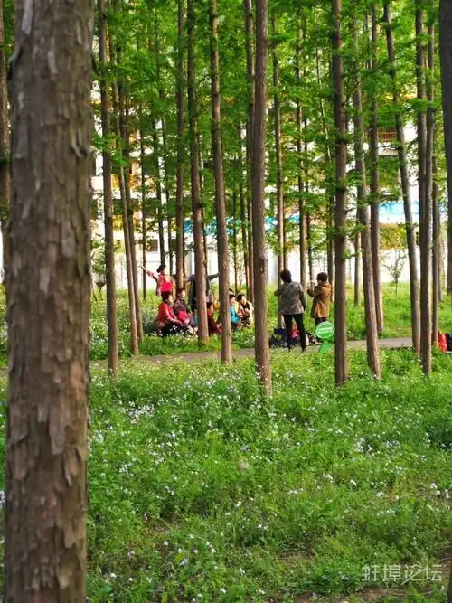 美了美了的大妈们