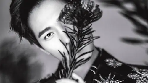 杨洋明星风尚壁纸41