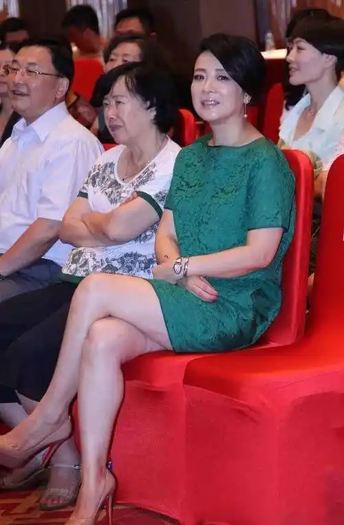 宋丹丹陈小艺个个真实,小8岁的陈小艺发福臃肿更像奶奶,宋丹丹越来越
