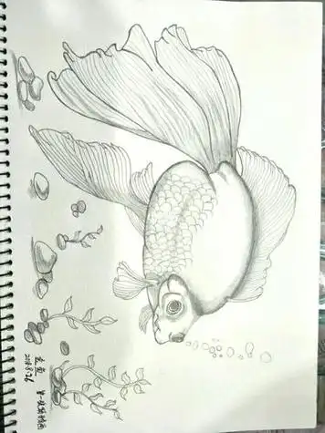 铅笔画动漫简单铅笔画素描图片大全素描画的人物像 好看吗?