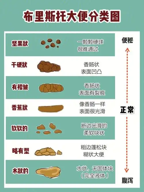 13种便便图解表