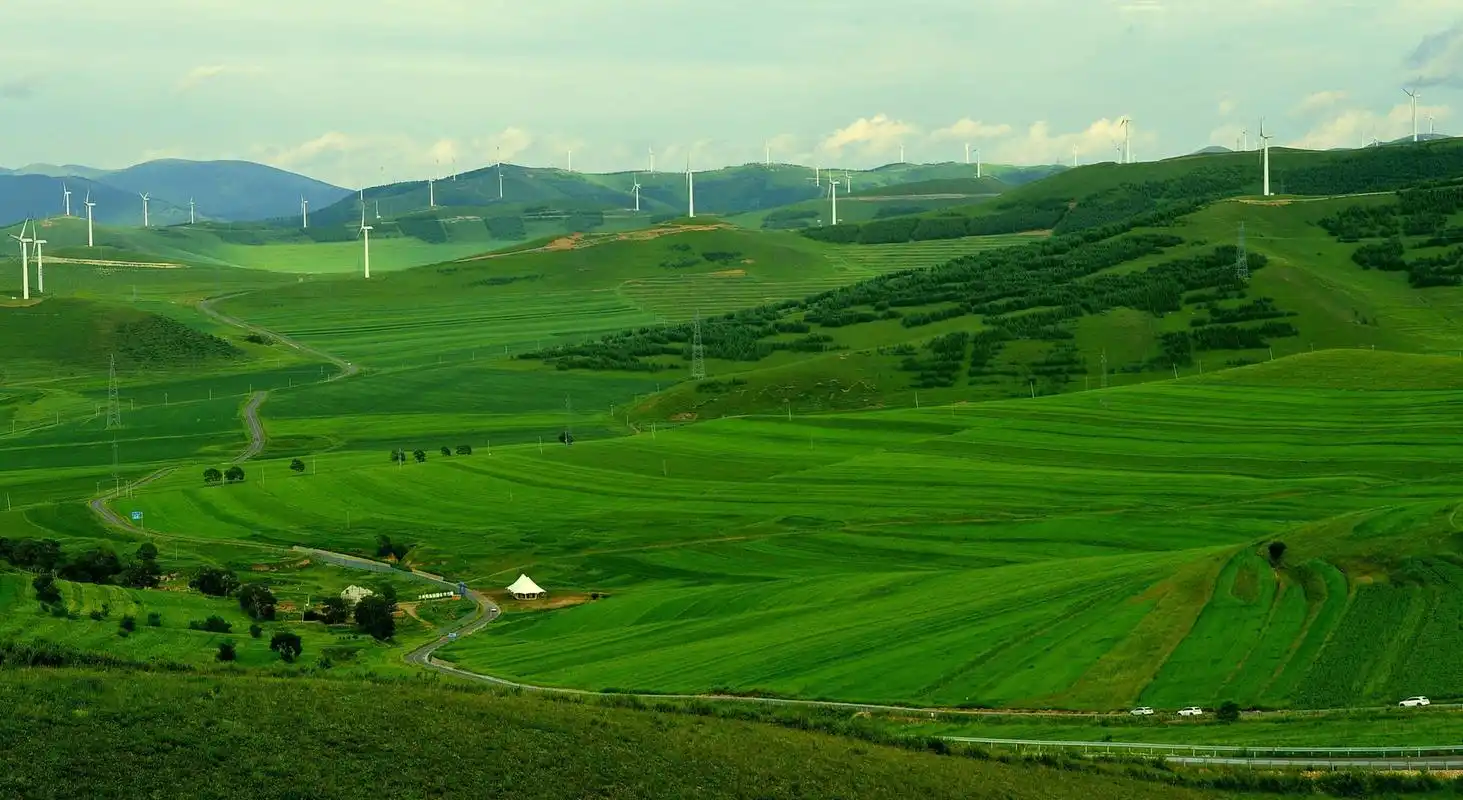快来张北草原走一走吧!