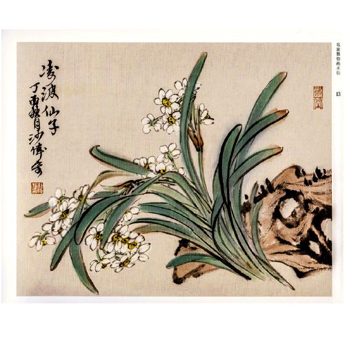 名家教你画水仙儿童国画初学者入门基础绘画技法教程水仙画法特征详解