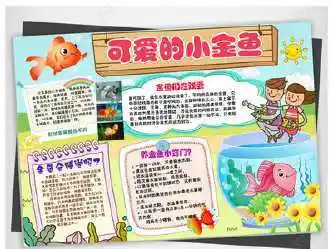 怎么做关于小金鱼的手抄报怎么画手抄报